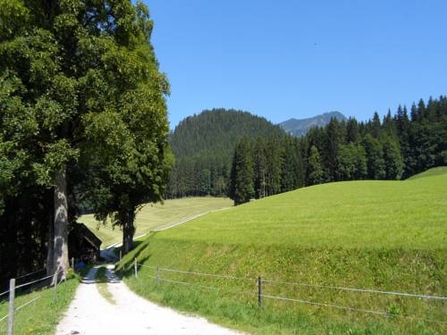 Imagen general del Reithartlhof. Foto 8