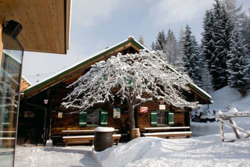 Imagen general del Reitlehenalm. Foto 7