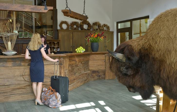 Imagen de los interiores del Reit-und Sporthotel Nordmann. Foto 20