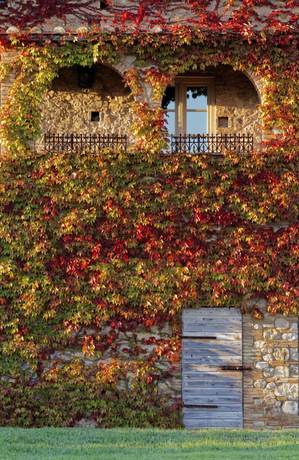 Imagen de la habitación del Relais Sant\'Elena. Foto 20