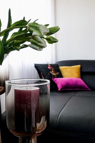 Imagen de la habitación del Residence Black Eagle Lubmin. Foto 2