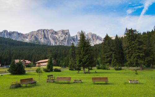 Imagen general del Residence Grand Hotel Carezza. Foto 8