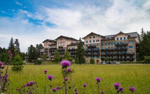 Imagen general del Residence Grand Hotel Carezza. Foto 11