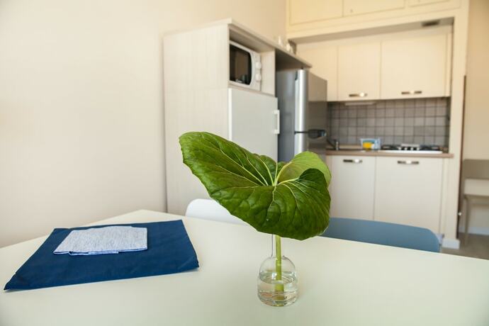 Imagen de la habitación del Residence La Palma, Andora. Foto 20