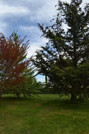 Imagen general del Residence La Quiete. Foto 9