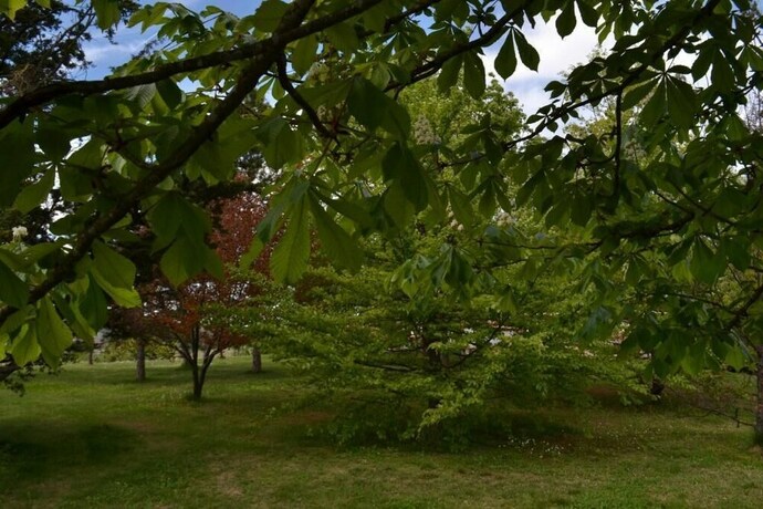 Imagen de los exteriores del Residence La Quiete. Foto 35