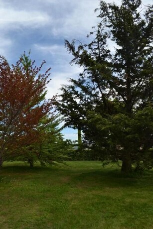 Imagen de los exteriores del Residence La Quiete. Foto 36