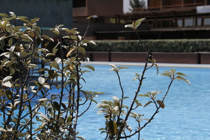 Imagen general del Residence Rena Bianca. Foto 12