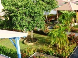 Imagen de los exteriores del Residence Simona. Foto 11