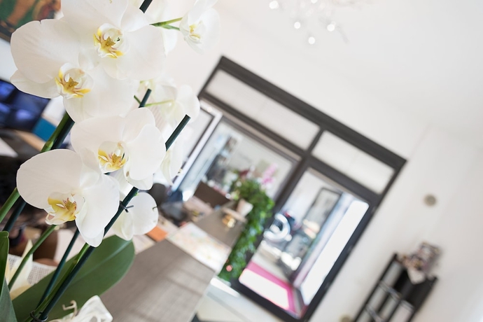 Imagen de los interiores del Residence Verona Class. Foto 17