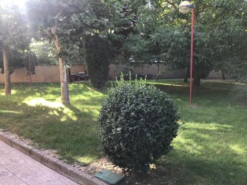Imagen general del Residencia Universitaria 