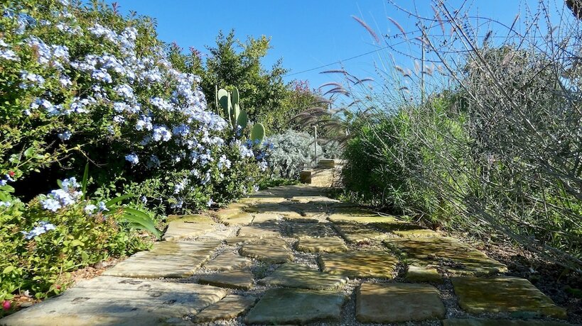 Imagen general del Residenza Arcangela - 4 Alloggi con 2 Piscine Private nel Salento - Fino a 20 Posti Letto. Foto 13