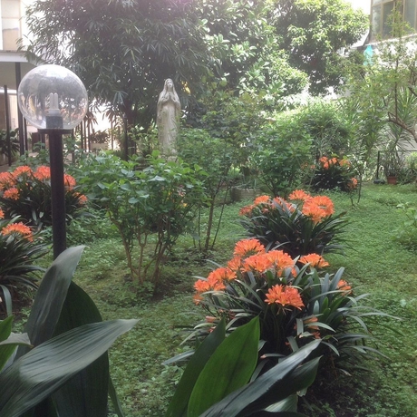 Imagen de los exteriores del Residenza Fermi. Foto 15