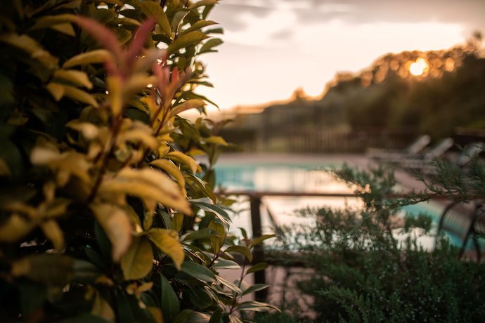 Imagen de la piscina del Residenza Il Falchetto. Foto 15