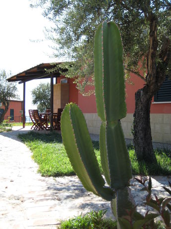 Imagen de la habitación del Residenza Mediterranea, Zambrone. Foto 5