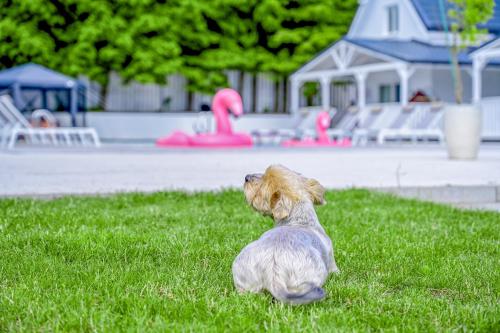 Imagen general del Resort Golf Kołczewo. Foto 12