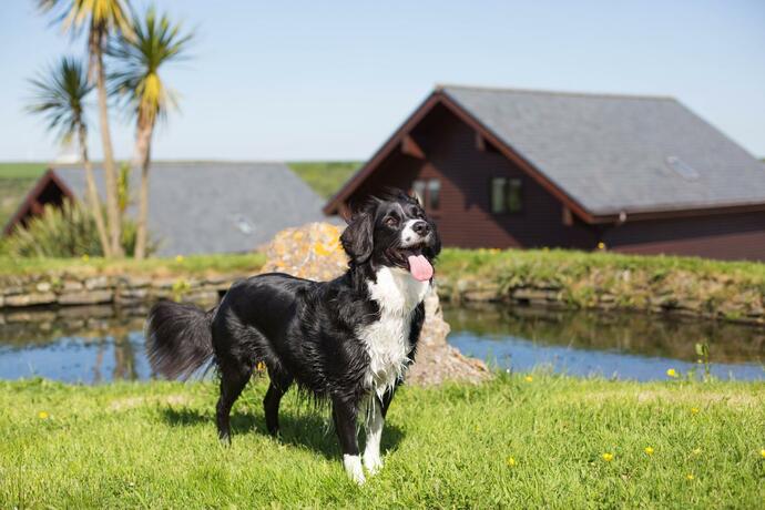 Imagen general del Retallack Resort & Spa. Foto 8