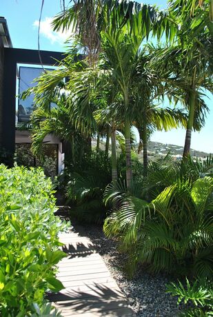 Imagen general del Reve de Saint Barth. Foto 15