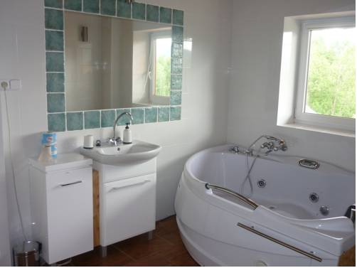 Imagen de la habitación del Rezidence U Jezera. Foto 12