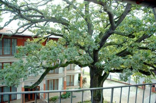 Imagen de la habitación del Rezydencja 5 Dęb&oacute;w. Foto 7