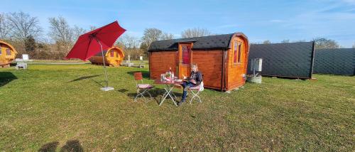 Imagen general del Rheingau 524. Foto 10