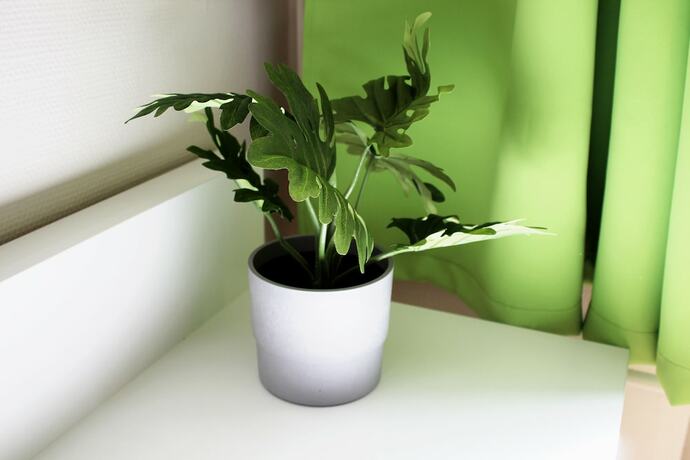 Imagen de la habitación del Rheinsteig Quartier by bestprice Hotels. Foto 13