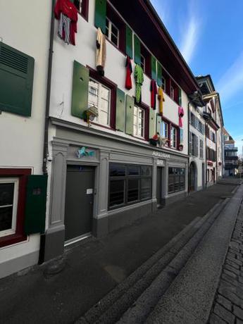 Imagen general del Rheinstream Guesthouse Basel. Foto 10