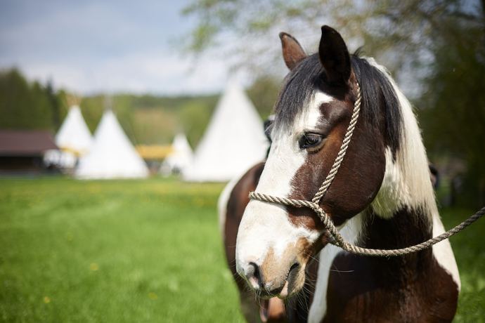 Imagen de los exteriores del Rh&ouml;n-Indianer-Hotel. Foto 13