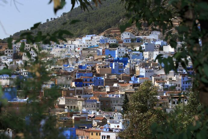 Imagen general del Riad Zaitouna Chaouen. Foto 29