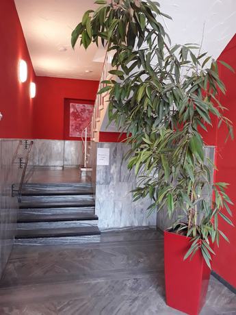 Imagen de los interiores del Ricks City Hotel 2. Foto 11