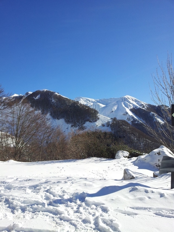 Imagen general del Rifugio Del Pettirosso. Foto 3