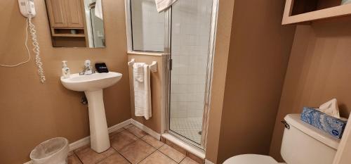 Imagen general del Right Direction Rentals. Foto 6