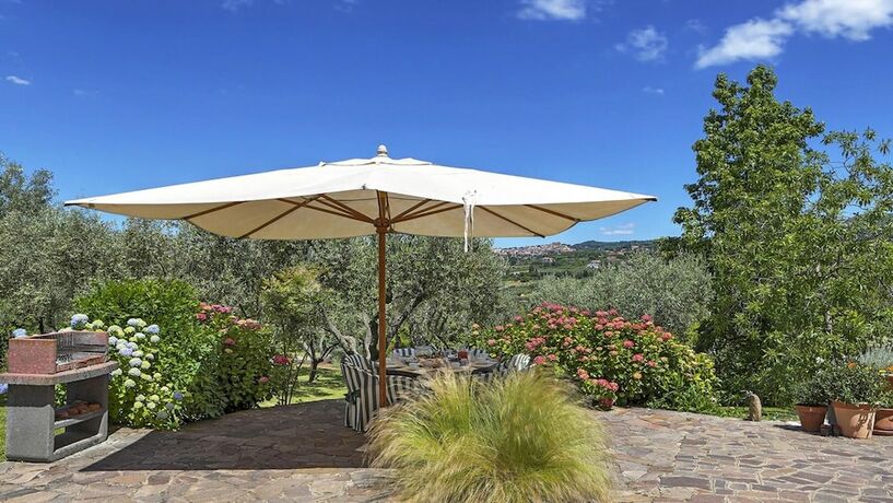 Imagen general del Rm-c767-gmat0at - Lanuvium 10. Foto 15