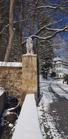 Imagen general del Robenstein Hotel and SPA - Villa. Foto 4