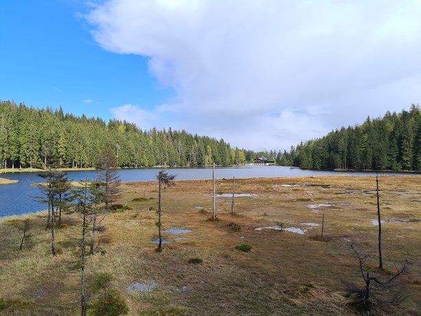 Imagen general del Robenstein Hotel and SPA - Villa. Foto 3