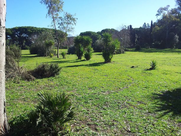 Imagen de los exteriores del Rodrigo de Vivar. Foto 17