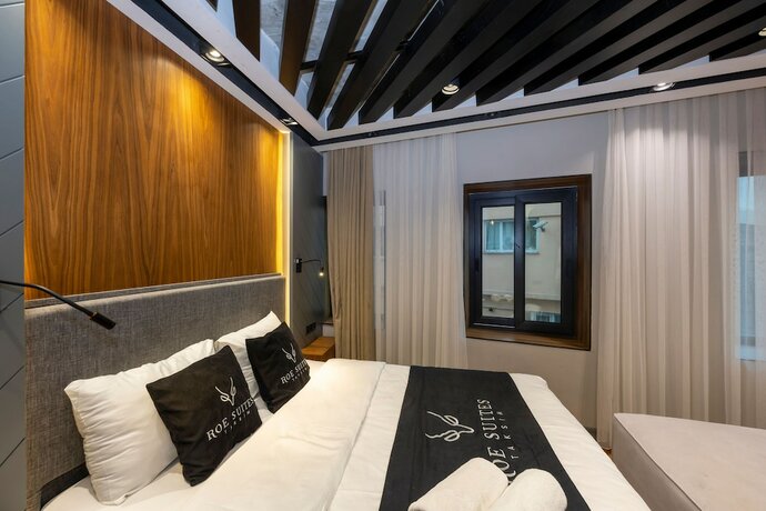 Imagen de la habitación del Roe Suite Taksim - Hotel. Foto 13