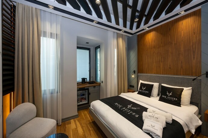 Imagen general del Roe Suite Taksim - Hotel. Foto 5