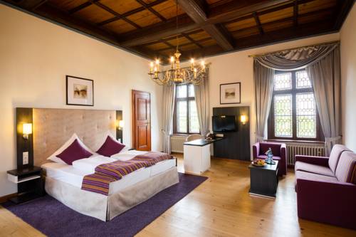 Imagen de la habitación del Romantik Hotel Schloss Hohenstein. Foto 13