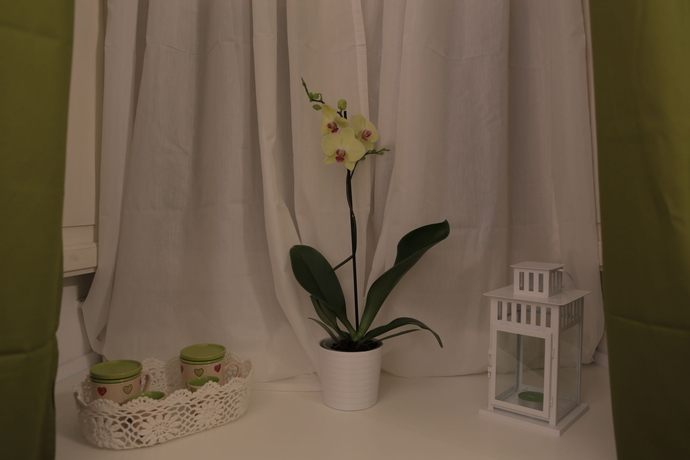 Imagen de la habitación del Rome Armony Suites. Foto 4