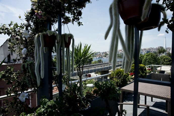Imagen general del Roof Halic Hotel. Foto 9