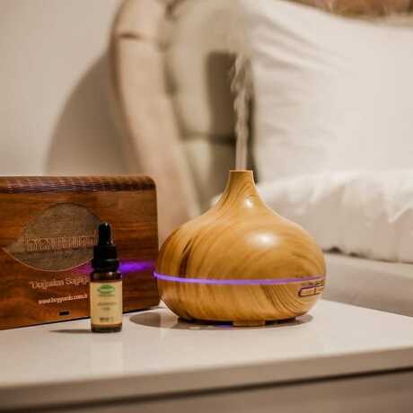 Imagen general del Rosa Therapy Hotel. Foto 7