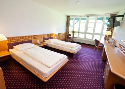 Imagen general del Rosenberger Motel Völkermarkt. Foto 1