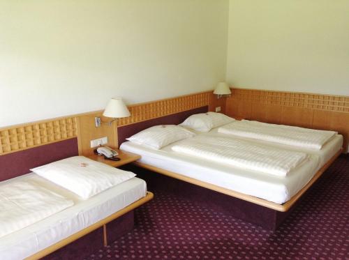 Imagen general del Rosenberger Motel V&ouml;lkermarkt. Foto 3