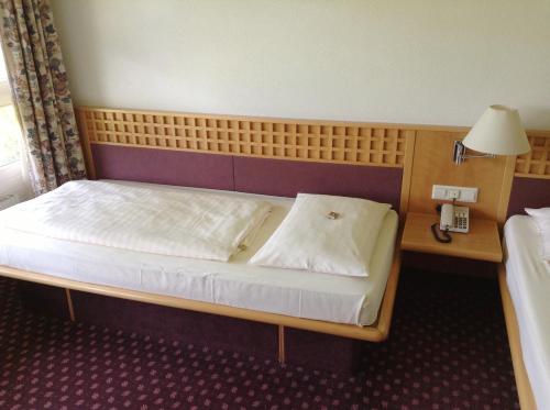 Imagen general del Rosenberger Motel V&ouml;lkermarkt. Foto 5