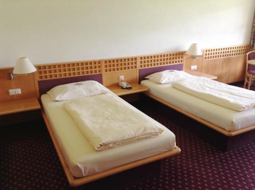Imagen de la habitación del Rosenberger Motel V&ouml;lkermarkt. Foto 20