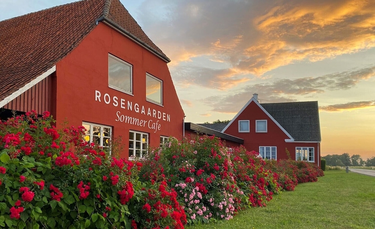 Imagen general del Rosengaarden Hostel. Foto 1