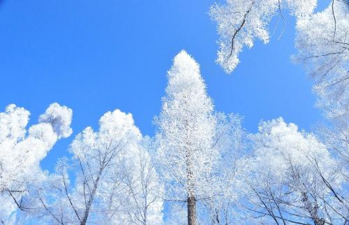 Imagen general del Rosy Town Holiday Apartment Changbai Mountain Ming. Foto 1