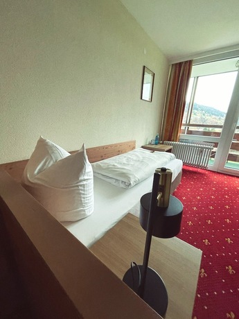 Imagen de la habitación del Rothenfels Hotel and Panorama Restaurant. Foto 14