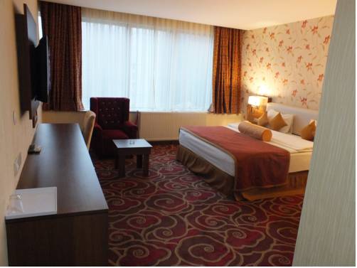 Imagen de la habitación del Royal Berk Hotel. Foto 2